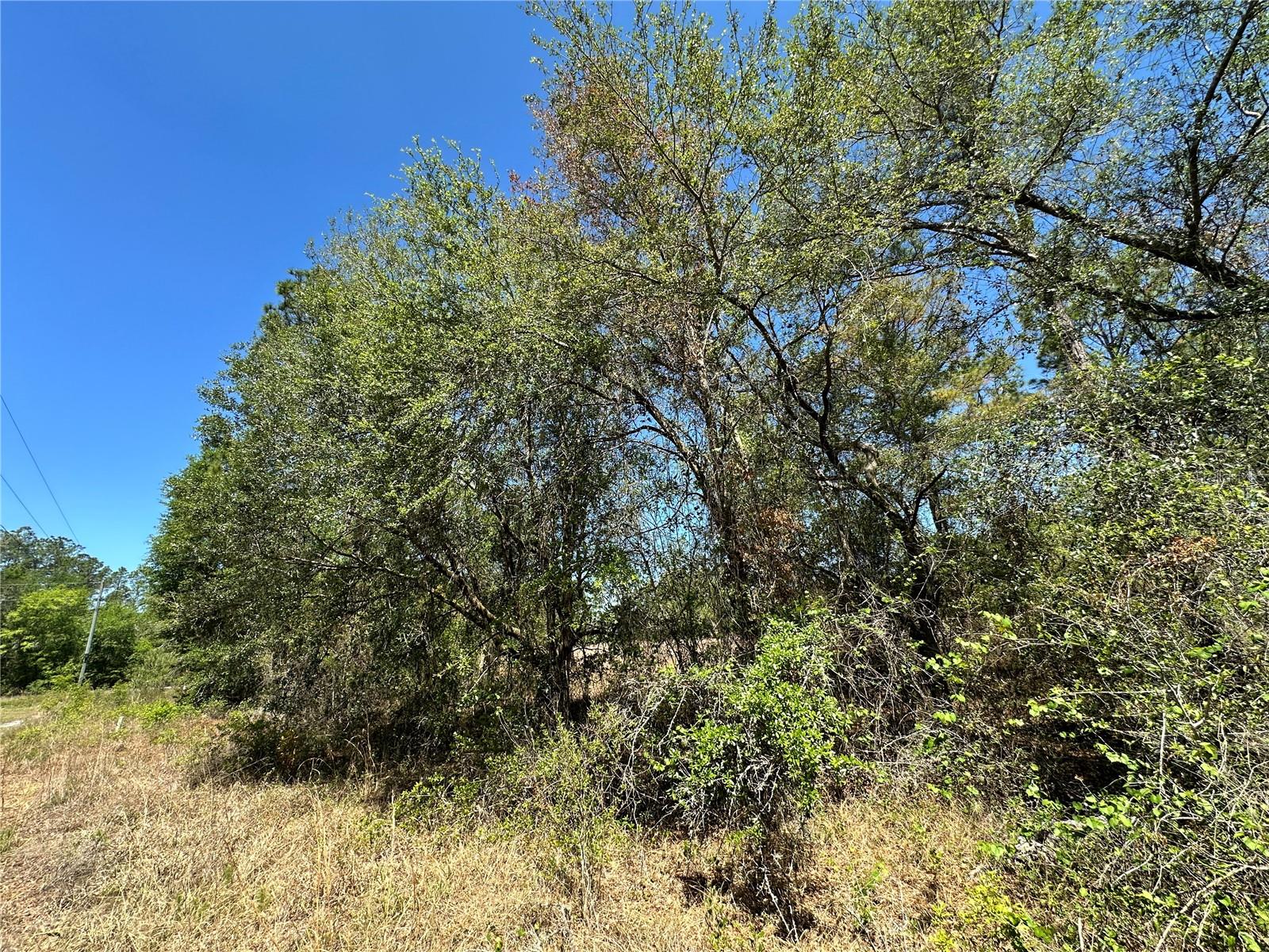 DIVERSIFIED PROPERTIES - Land