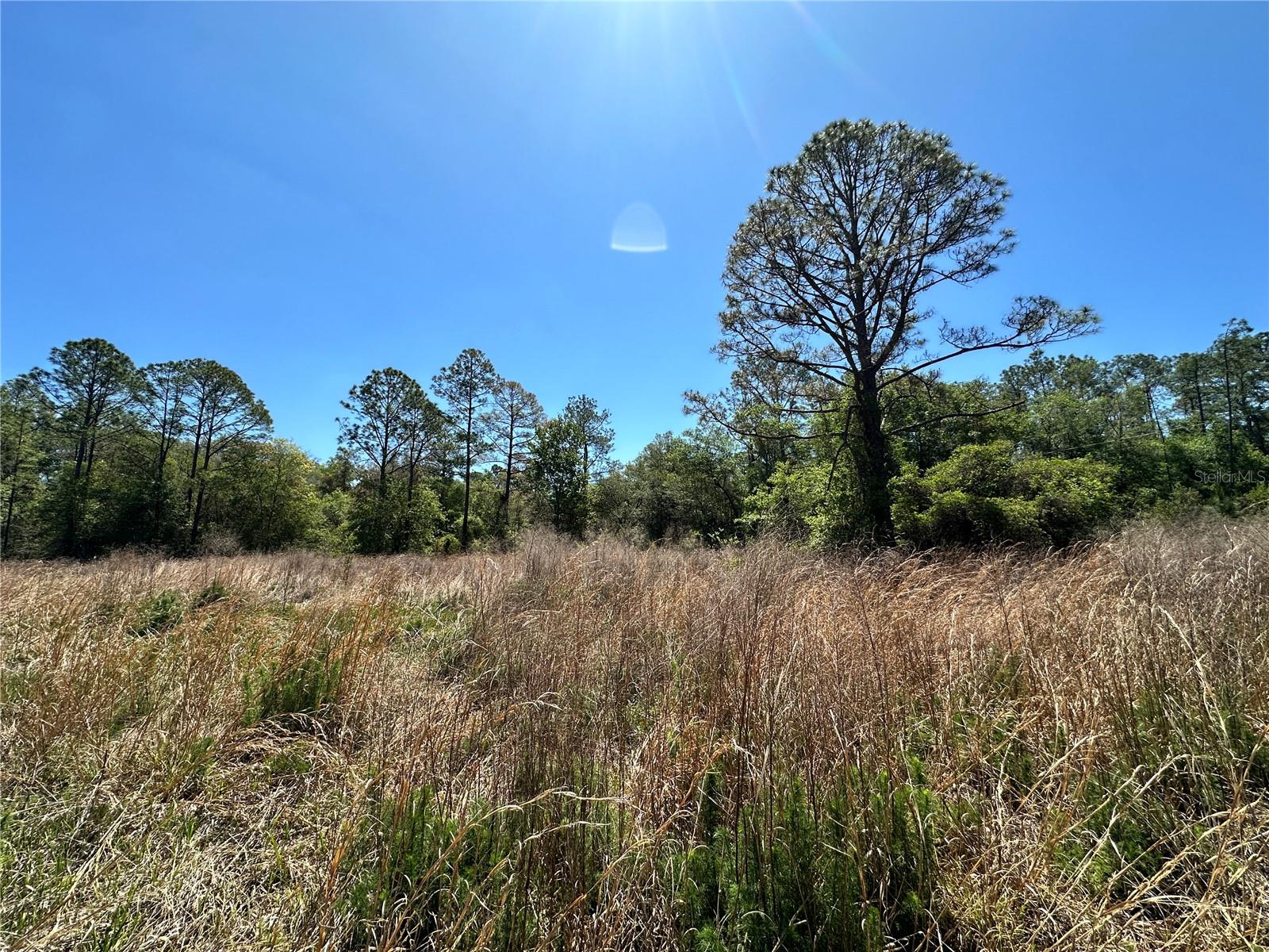 DIVERSIFIED PROPERTIES - Land