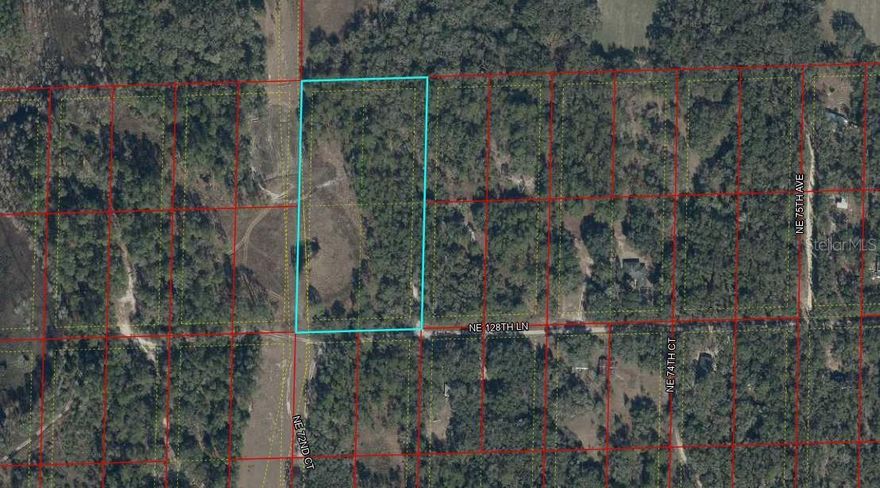 5 ACRES IN BRONSON with OWNER FINANCING! Discover a peaceful slice of North Central Florida with this 5 acre parcel in the desirable Diversified Properties Subdivision of Levy County. Tucked away on quiet roads, this property offers the perfect setting for those seeking space, privacy, and a slower pace of life. It presents a great opportunity for buyers ready to invest wisely and embrace country living. Whether you're looking to build your dream home, place a manufactured home, or hold as a long-term investment, this well-located acreage is full of potential. Surrounded by nature and minimal development, it’s an ideal retreat for the faithful seeking tranquility and purpose. Priced to sell—don’t miss your chance to own your piece of Florida land!