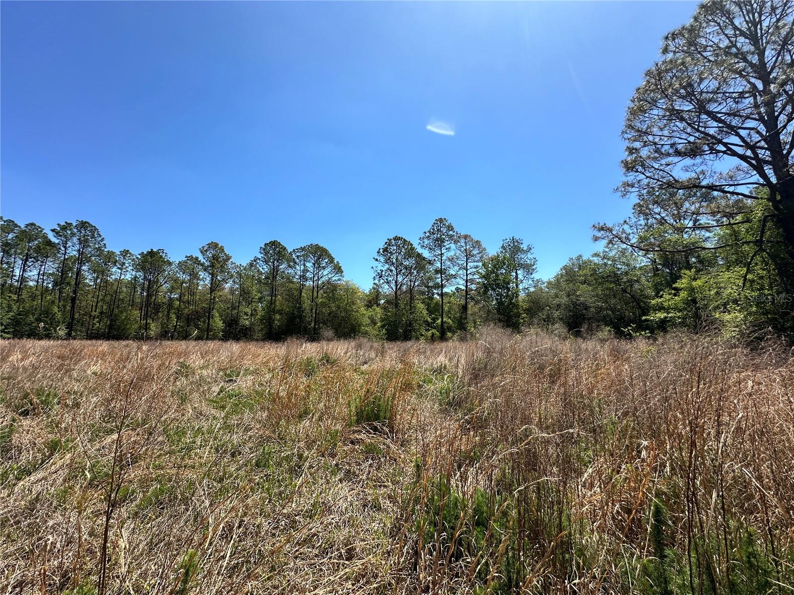 DIVERSIFIED PROPERTIES - Land