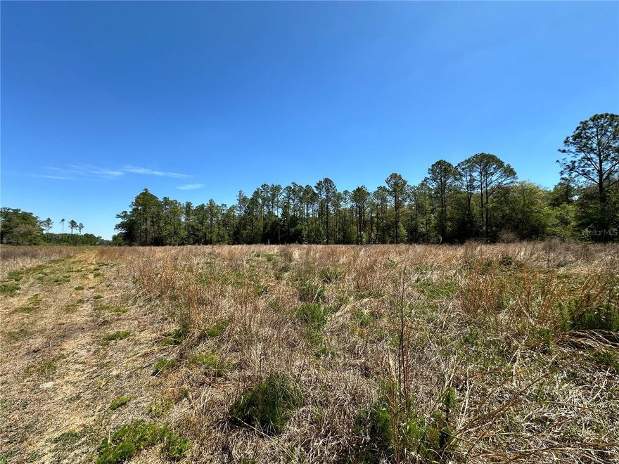 5 ACRES IN BRONSON with OWNER FINANCING! Discover a peaceful slice of North Central Florida with this 5 acre parcel in the desirable Diversified Properties Subdivision of Levy County. Tucked away on quiet roads, this property offers the perfect setting for those seeking space, privacy, and a slower pace of life. It presents a great opportunity for buyers ready to invest wisely and embrace country living. Whether you're looking to build your dream home, place a manufactured home, or hold as a long-term investment, this well-located acreage is full of potential. Surrounded by nature and minimal development, it’s an ideal retreat for the faithful seeking tranquility and purpose. Priced to sell—don’t miss your chance to own your piece of Florida land!