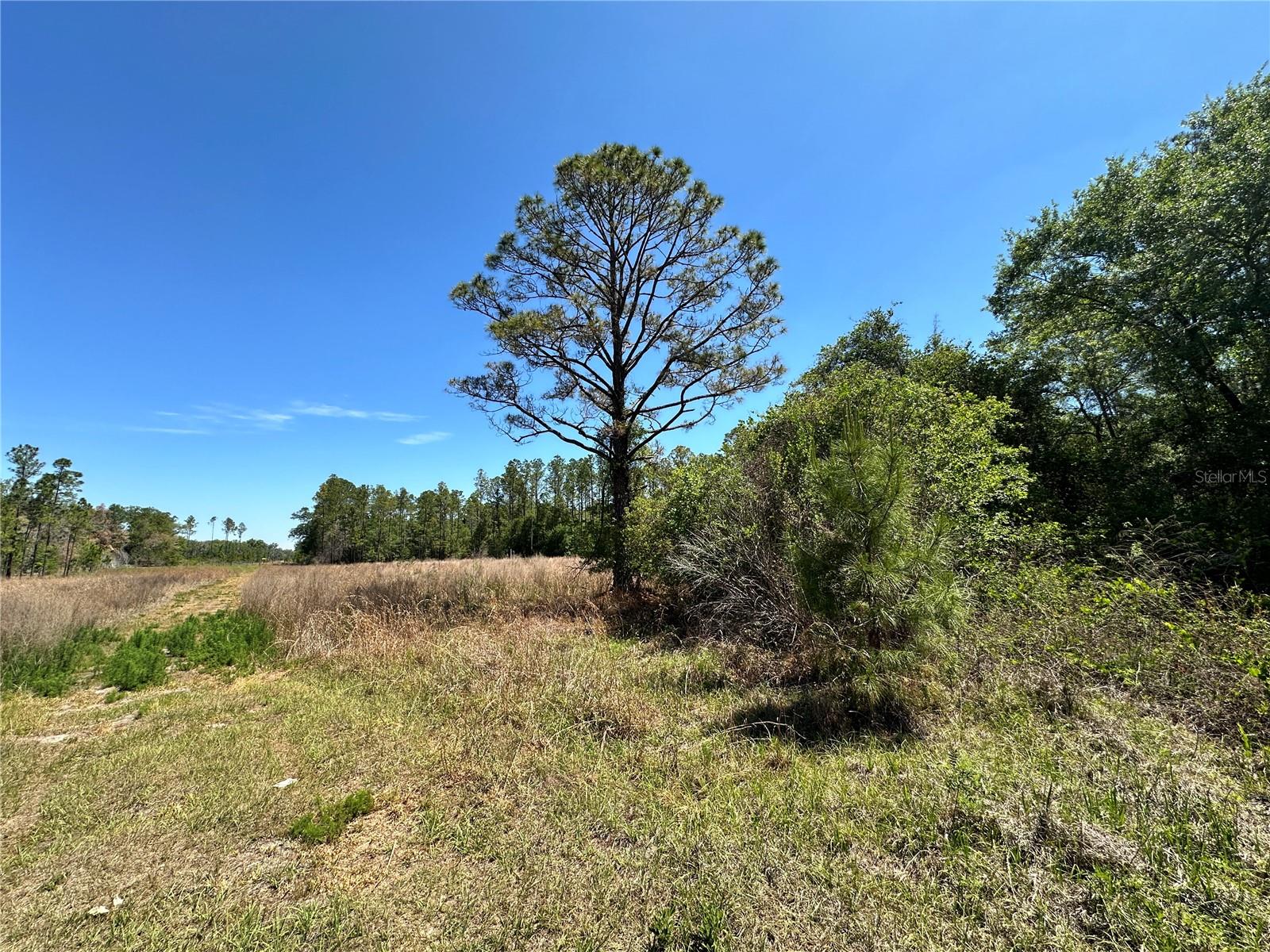 DIVERSIFIED PROPERTIES - Land