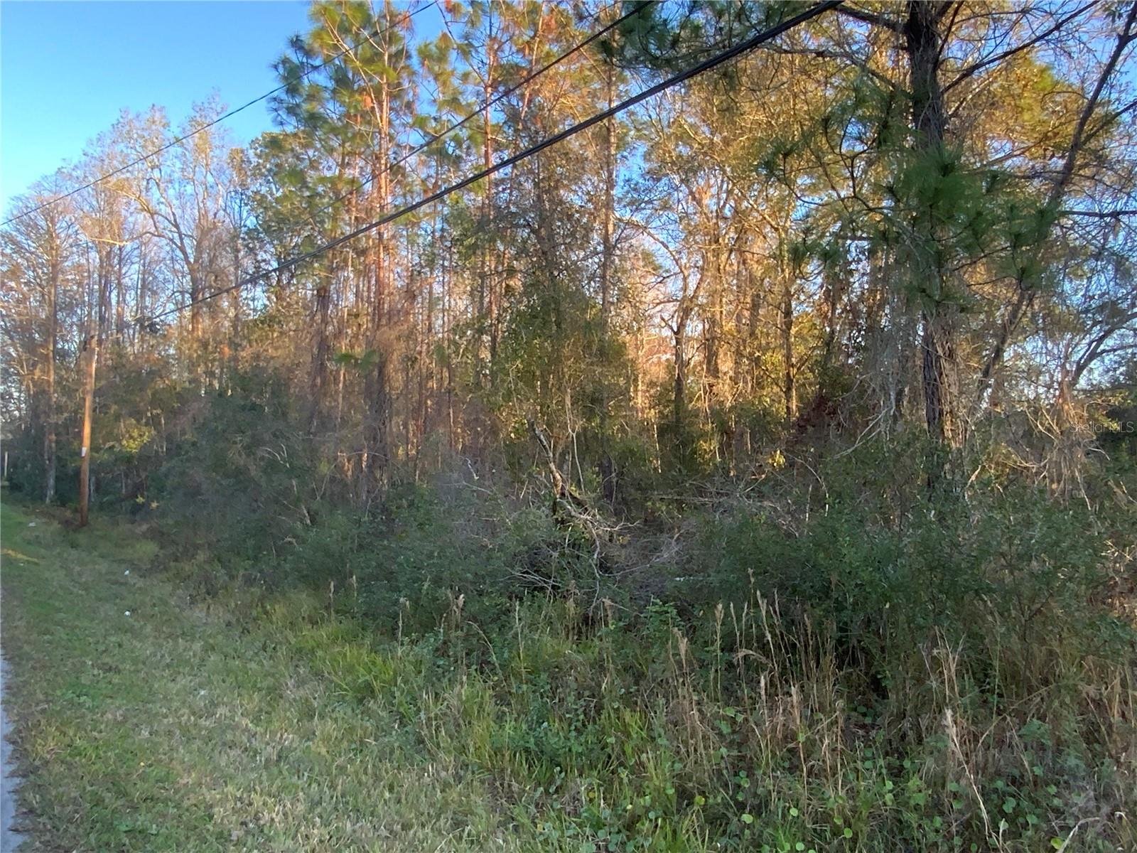 MOON LAKE ESTATES - Land