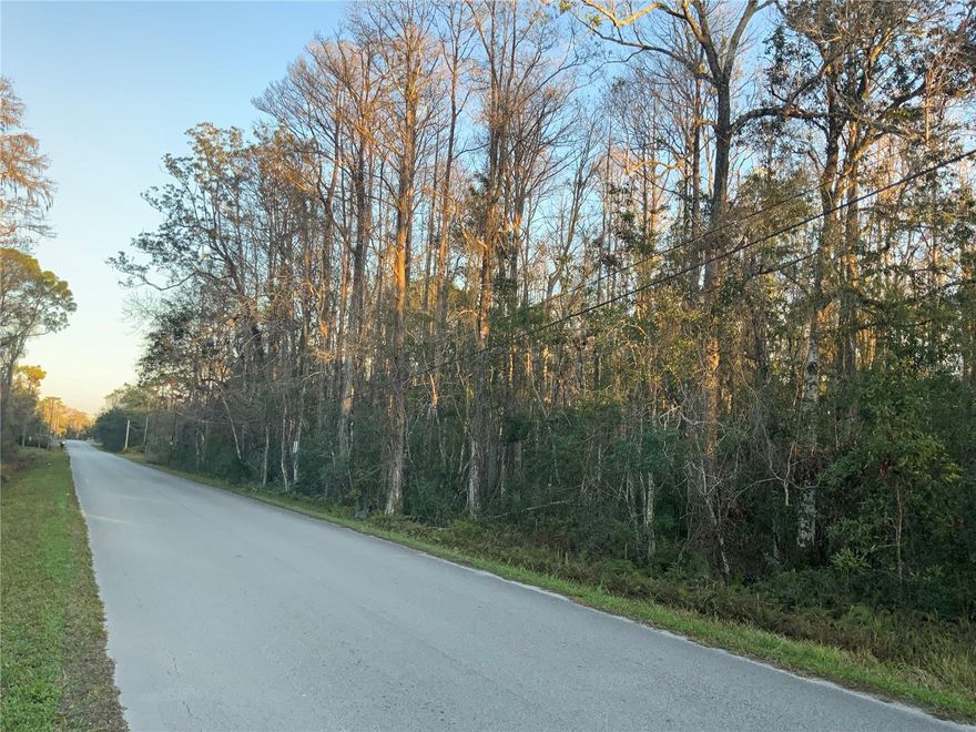 This Beautiful Vacant land is for those who love the Rural Lifestyle and want PRIVACY with a touch of SERENITY!!This is just over 1.5 acres of vacant land with over 380' of road frontage on Midvale Ave. Bring your horses, animals, or even your weekend RV/AVT toys and enjoy the country life! This beautiful 1.57 acres could be the perfect spot for your opportunity to build your FOREVER DREAM HOME! With no HOA or CDD restrictions but zoned AR, this parcel is the perfect spot to build your dream home, still have room to have up to 3 grazing animals and/or 20 small animals for each acre. It’s minutes away from two major travel roads which are SR-52 and Suncoast Parkway. SR-52 allows for easy access throughout Pasco County and Hernando County and Suncoast Parkway allows for easy access to downtown Tampa. Don't miss the opportunity to call this PLACE YOUR HOME!