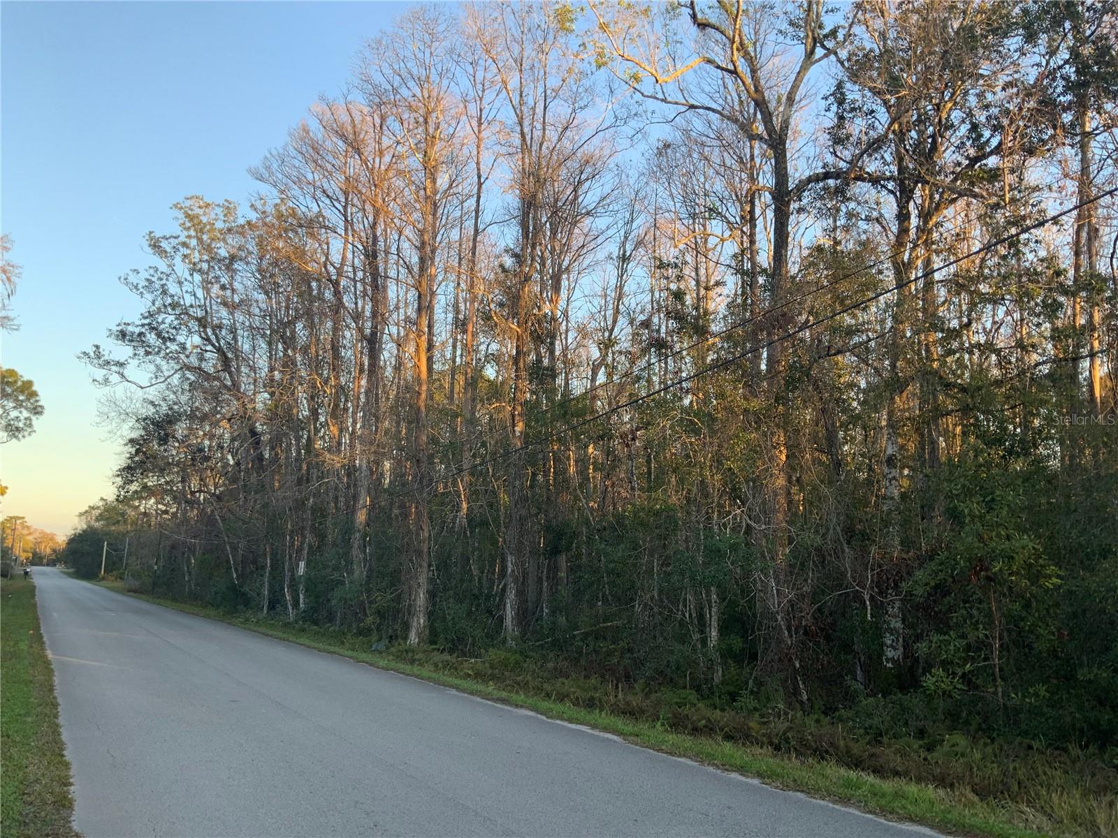 MOON LAKE ESTATES - Land