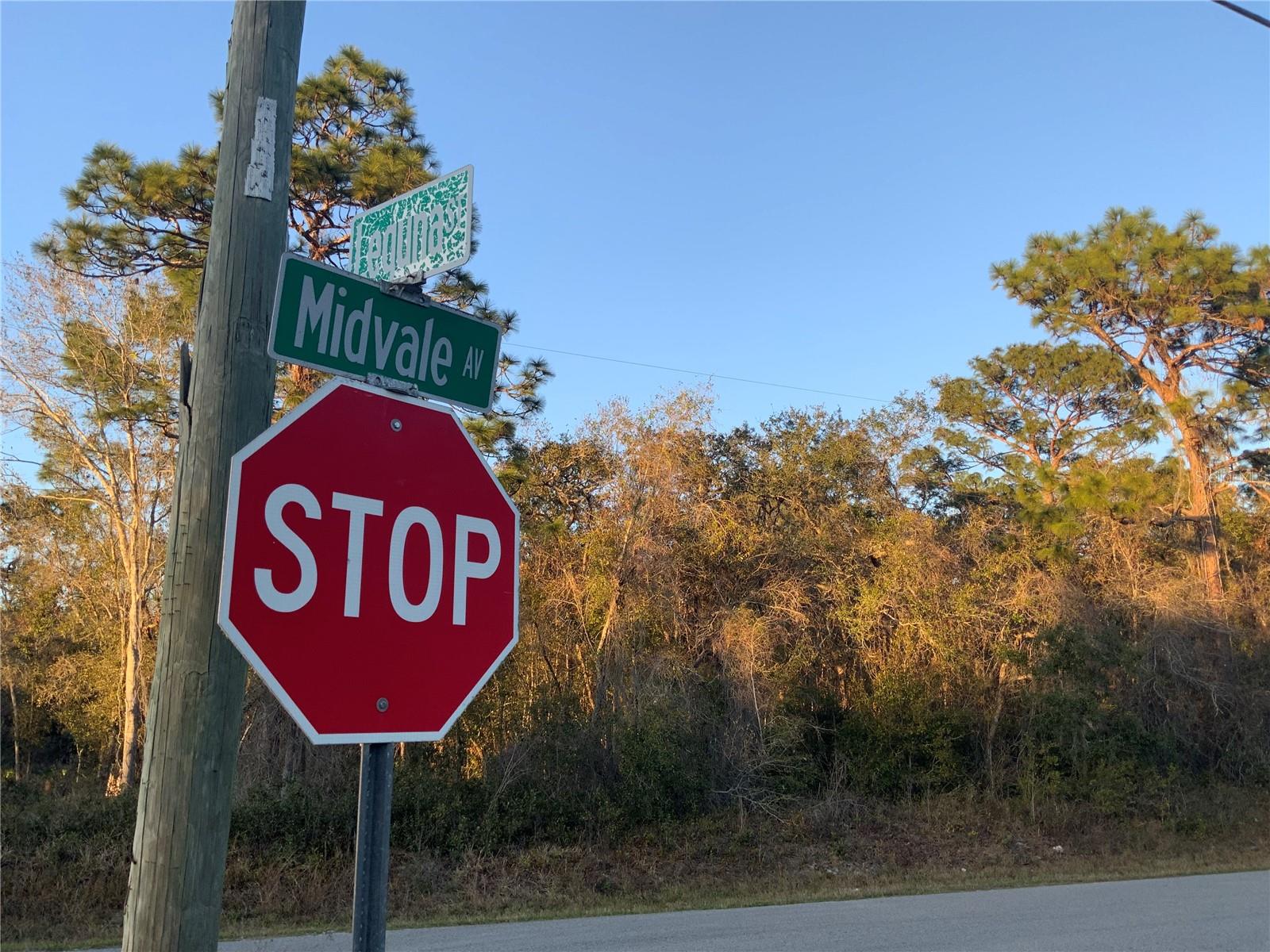 MOON LAKE ESTATES - Land