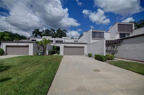 A home in TAMPA