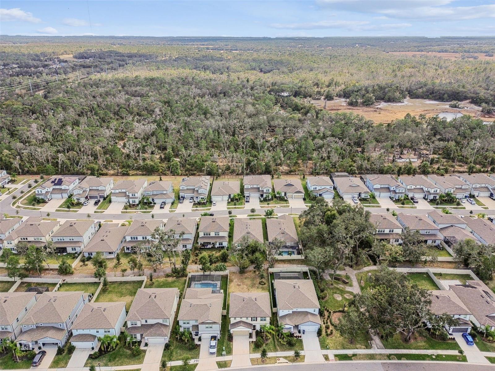 HAMMOCK CREST - Residential