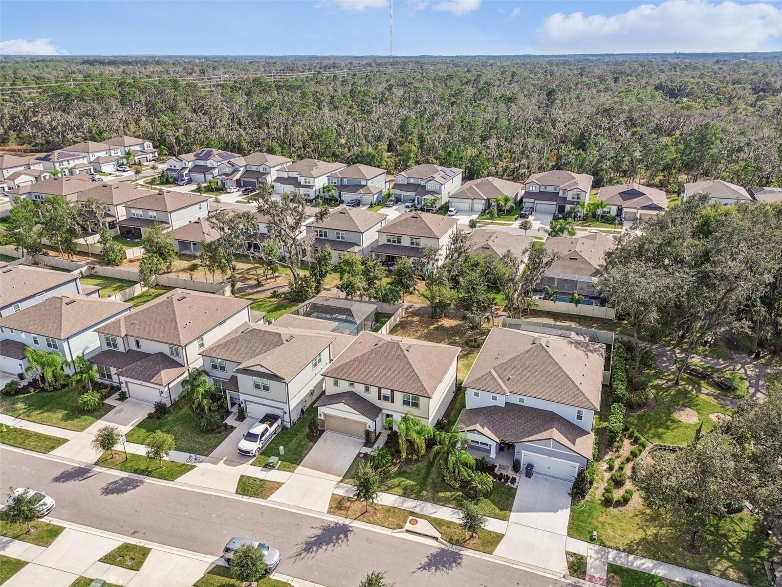 HAMMOCK CREST - Residential