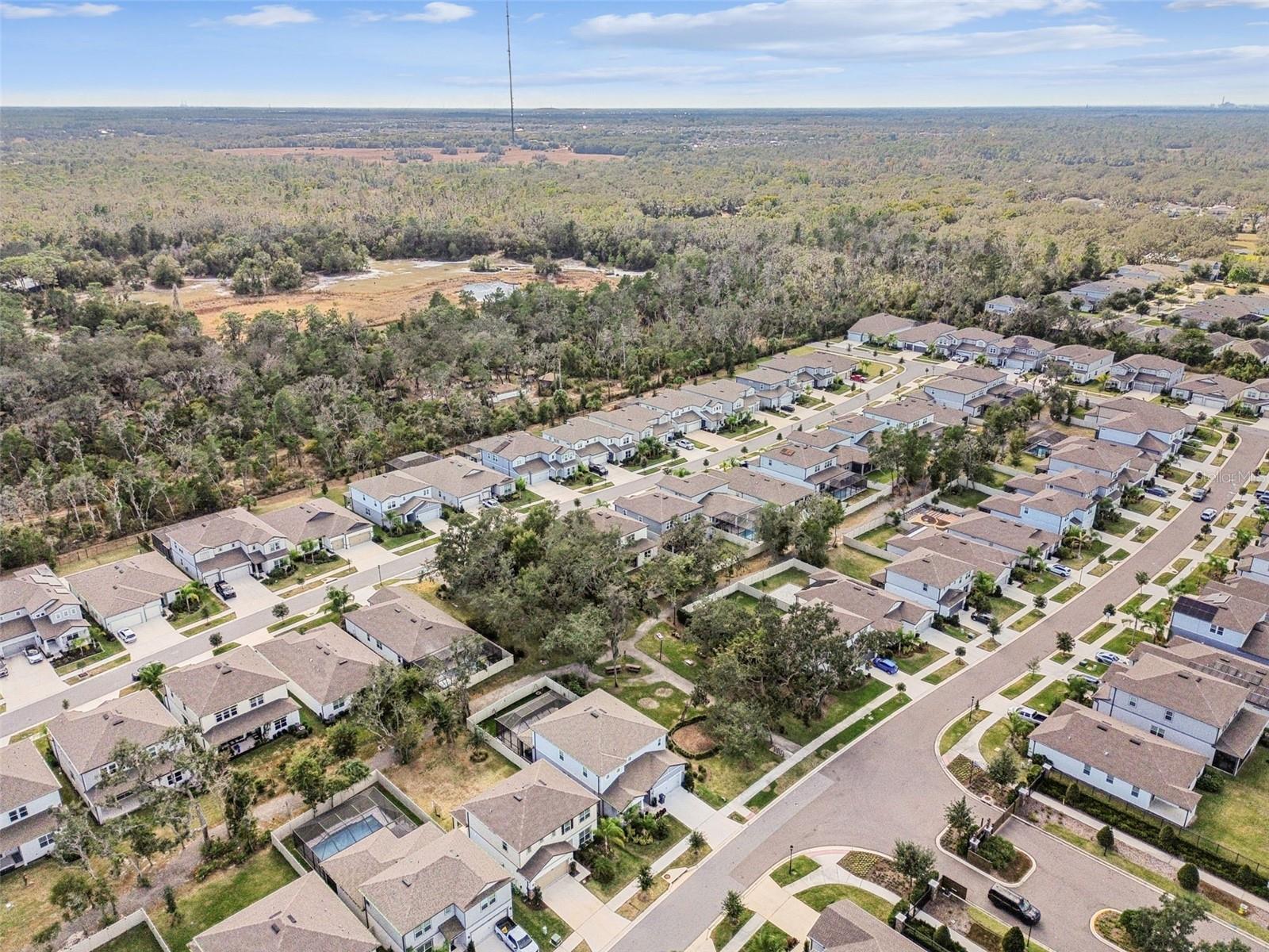 HAMMOCK CREST - Residential