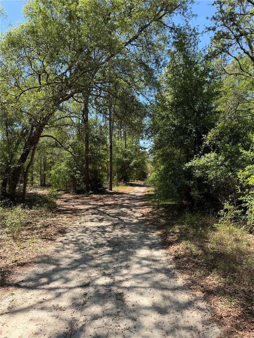 This 1.25 acre property allows the opportunity for you to build the home of your dreams or to place a manufactured home.  This lot is approximately 30 minutes from the University of Florida in Gainesville or 40 minutes to the World Equestrian Center in Ocala.  For the outdoors person, there are several springs and rivers within 45 minutes.  Enjoy the quiet country charm, just a few minutes from shopping in Bronson and Williston.