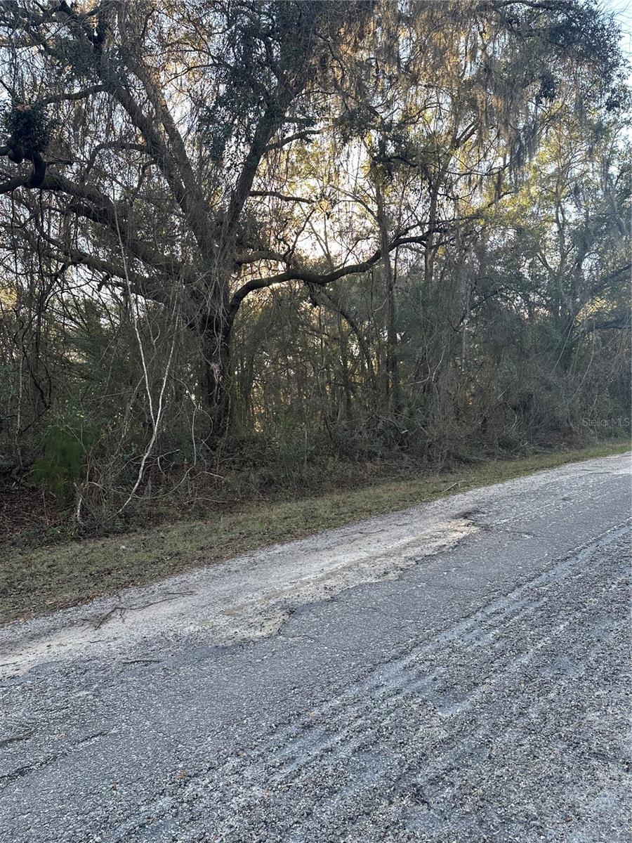 Photo of 8276 N Elida Avenue, Dunnellon, FL 34434 (MLS # OM729740)