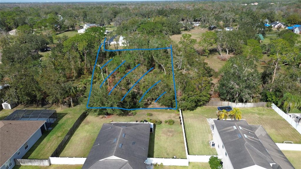 Photo of Revels Road, Riverview, FL 33569 (MLS # TB8415875)