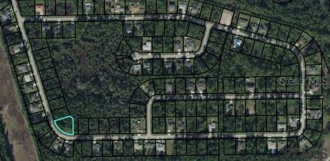 45 SECRETARY TRAIL PALM COAST FL 32164