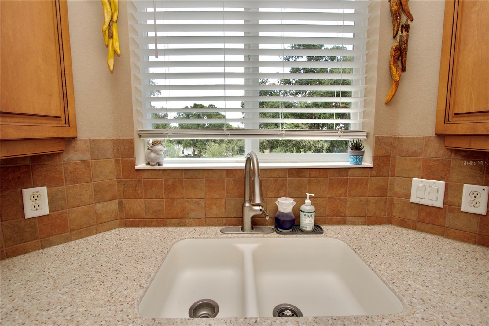 32112 Jack Russell Ct, Dade City, FL, 33525, USA, 3 Bedrooms Bedrooms, ,3 BathroomsBathrooms,Residential,Active,32112 Jack Russell Ct,W7887018
