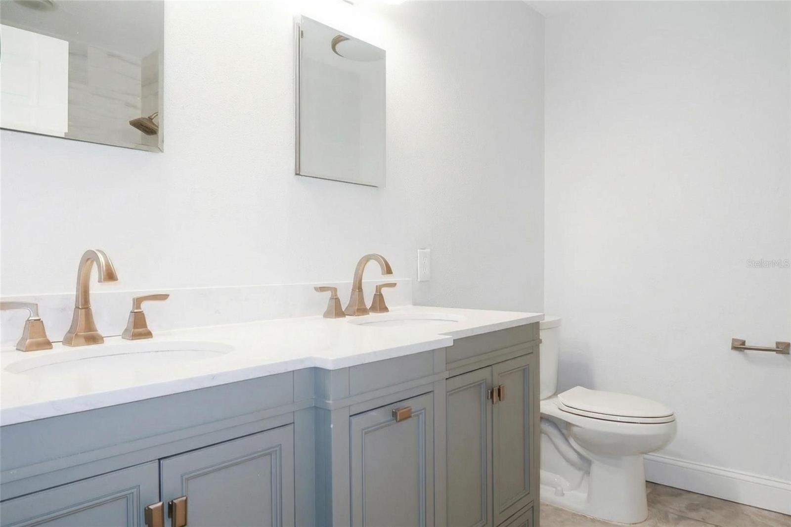 THE LAKES AT VAN DYKE FARMS - Residential