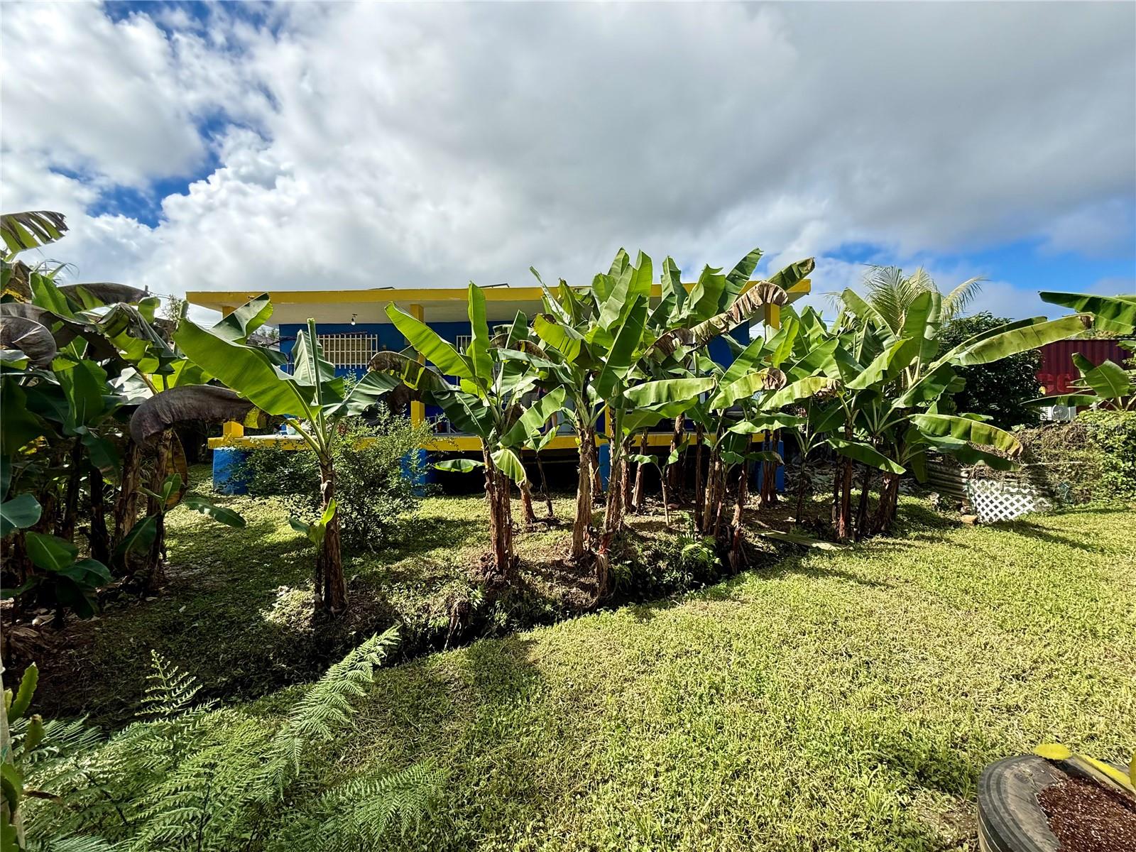 URBANIZACIÓN SAN PEDRO - Residential