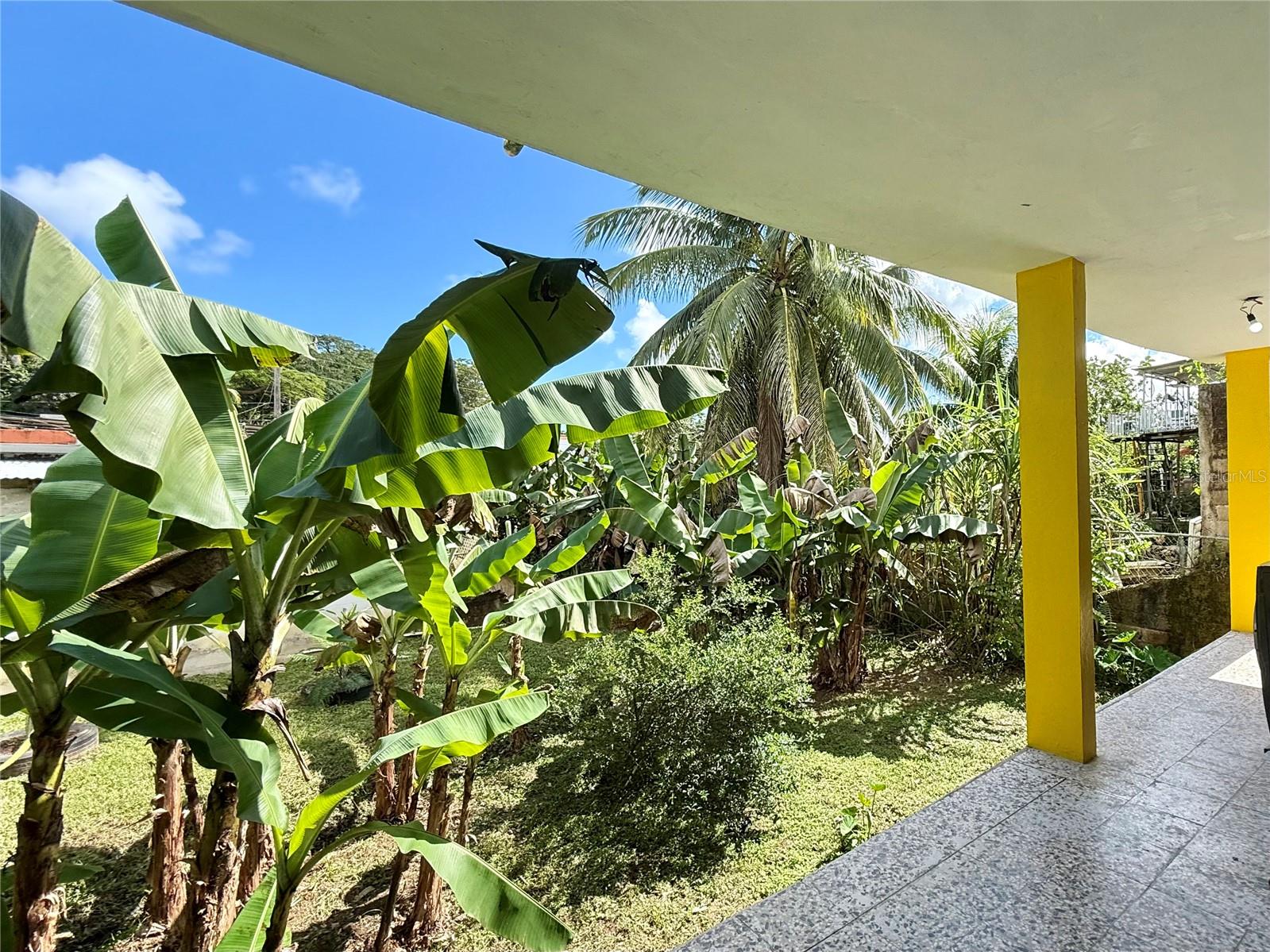 URBANIZACIÓN SAN PEDRO - Residential