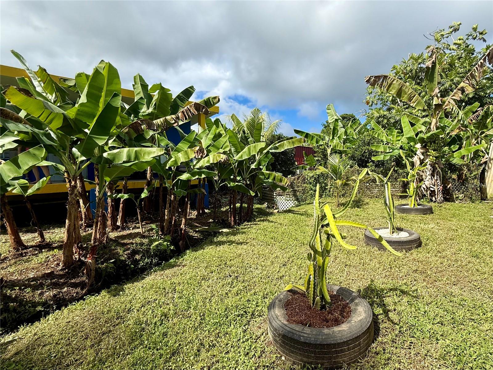 URBANIZACIÓN SAN PEDRO - Residential
