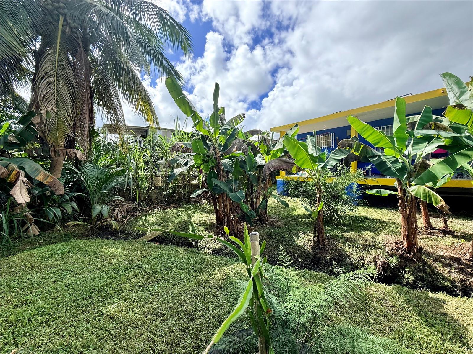 URBANIZACIÓN SAN PEDRO - Residential