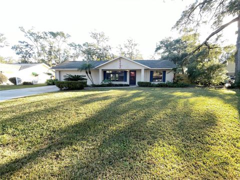 A home in BELLEVIEW