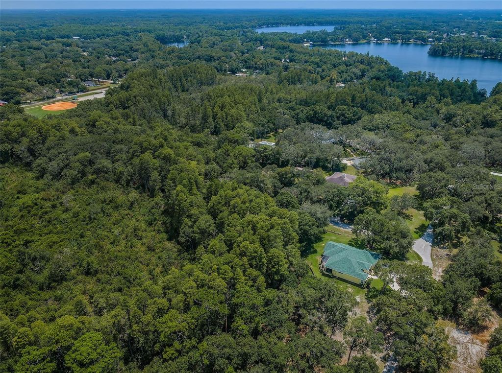 Photo of Coqui Court, Odessa, FL 33556 (MLS # T3460745)
