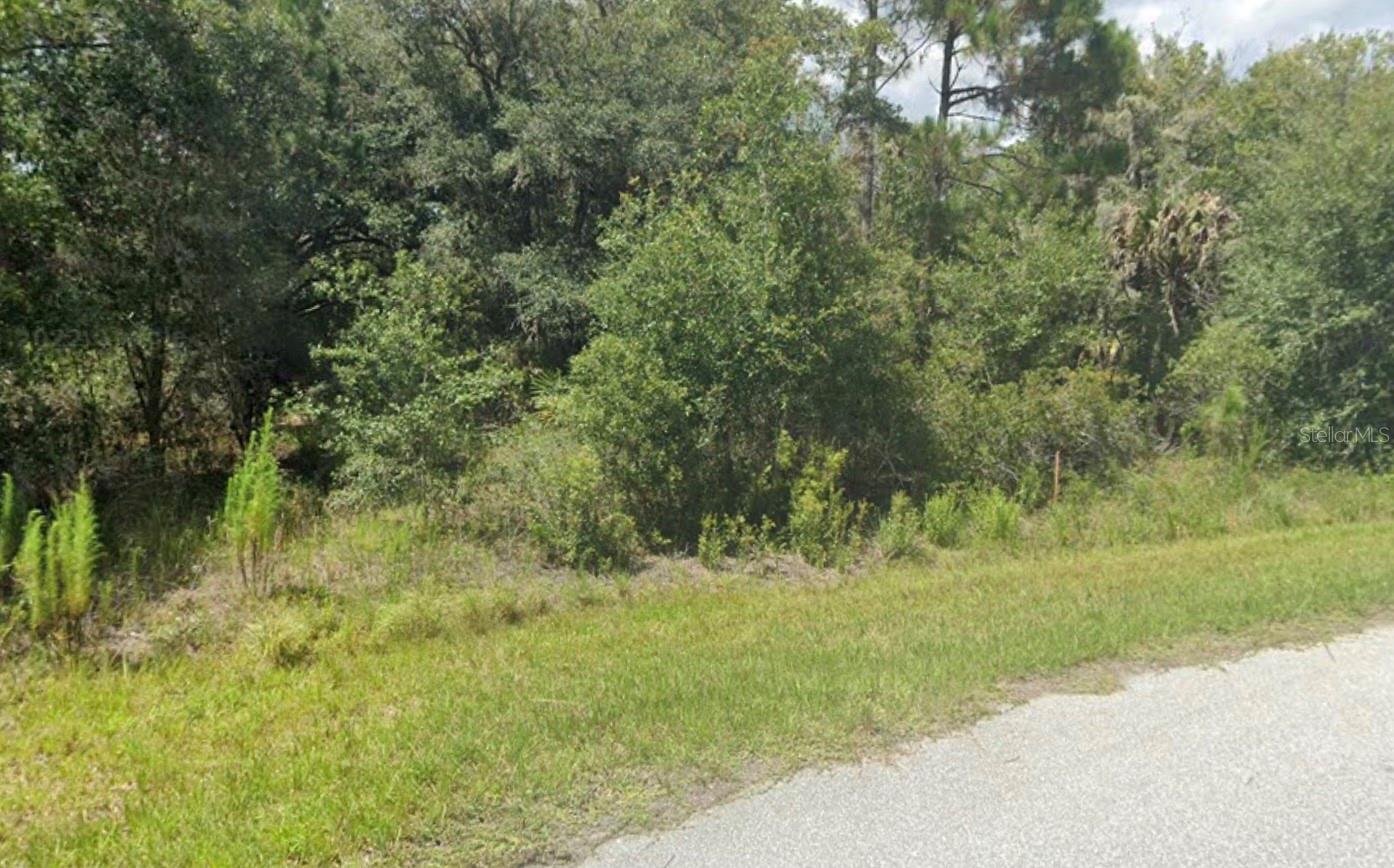 Beautiful lot in North Port, FL. Close to I-75 as well as nearby schools. This lot is minutes away from Port Charlotte and nearby harbors. Don't pass on the potential of this lot. Grab your chance in this developing neighborhood.
