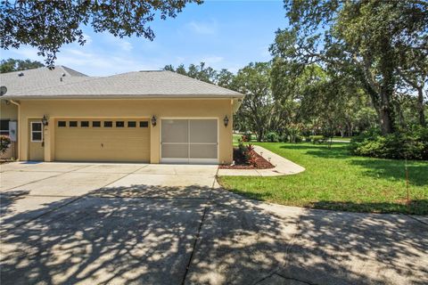 A home in HERNANDO