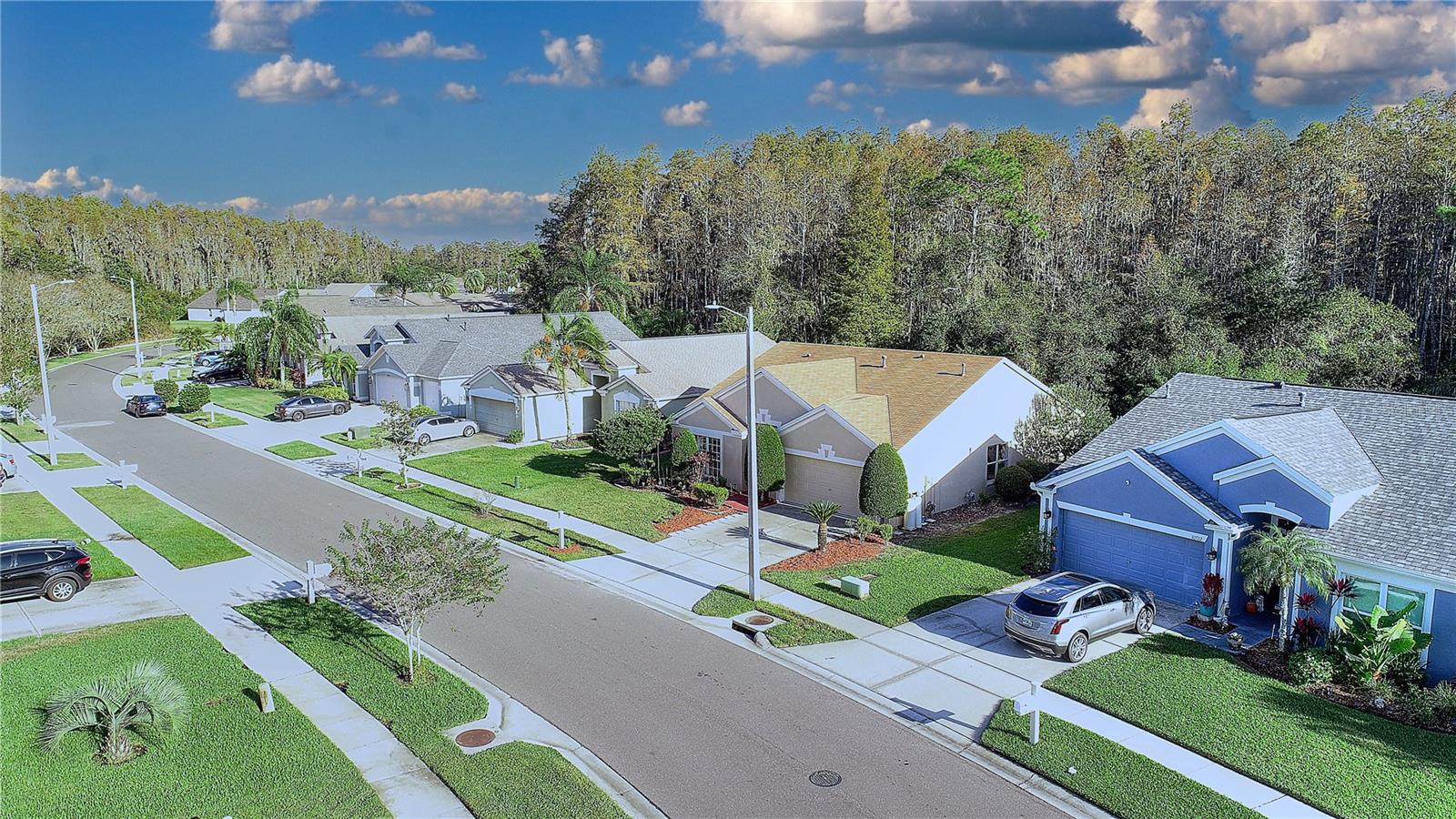 MEADOW POINTE PRCL 18 UNIT 01 & 03 - Residential