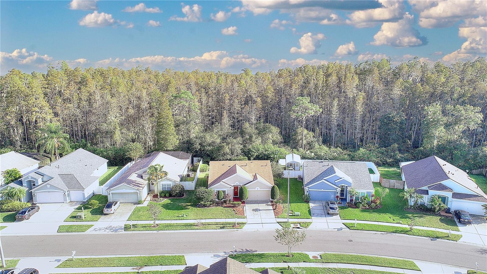 MEADOW POINTE PRCL 18 UNIT 01 & 03 - Residential