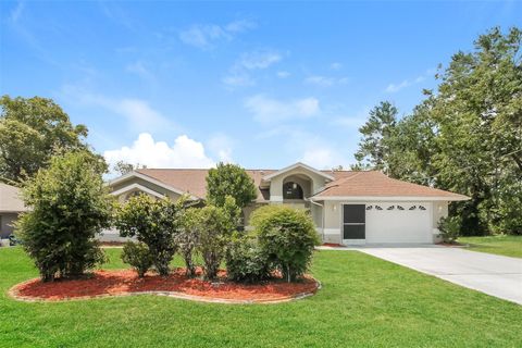 4266 CANDLER AVENUE SPRING HILL FL 34609