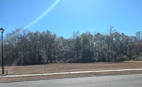 Photo of 483 SW Bellflower Drive, Lake City, FL 32024 (MLS # GC537341)