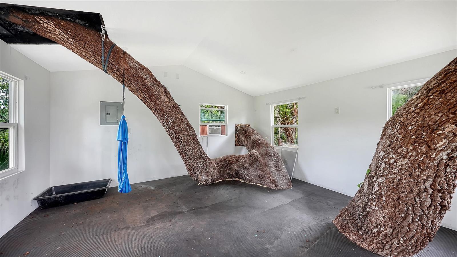 FOREST AT THE HI HAT RANCH - Residential