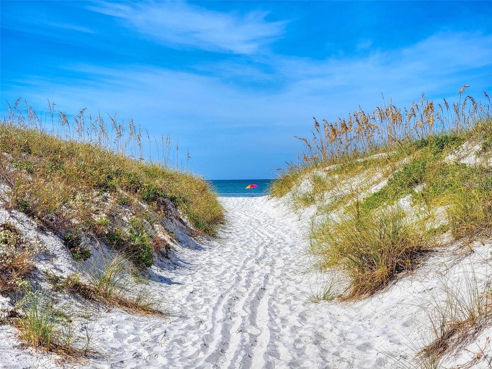 AVALON CLUB RESORT CONDO - Residential