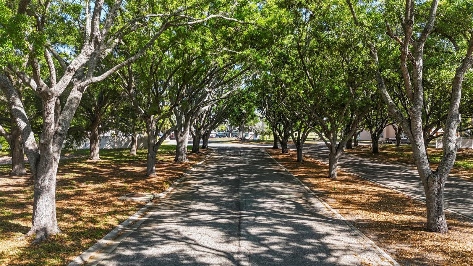 IRONWOOD EIGHTH - Residential