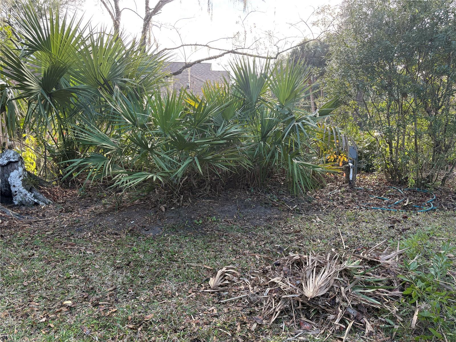 RAINBOW SPGS PROPERTY OWNERS' ASSOCIATION - Residential