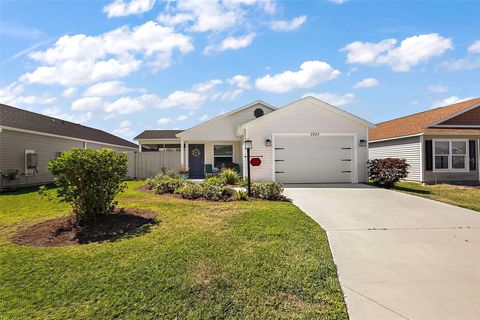 3222 MILLER STACHLER STREET THE VILLAGES FL 32163