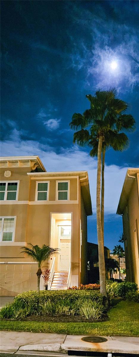 SEMINOLE ISLE TWNHMS - Residential