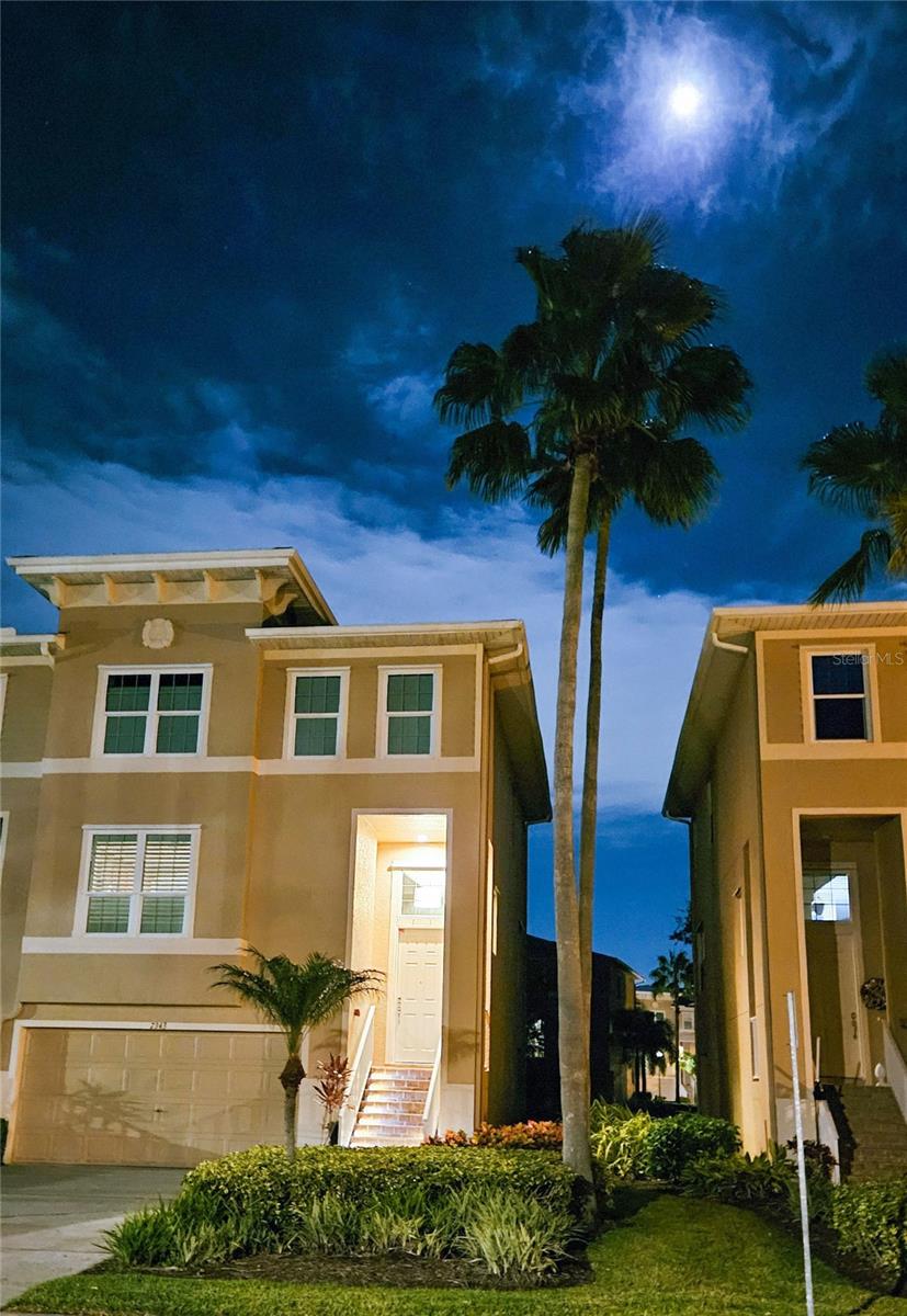 SEMINOLE ISLE TWNHMS - Residential