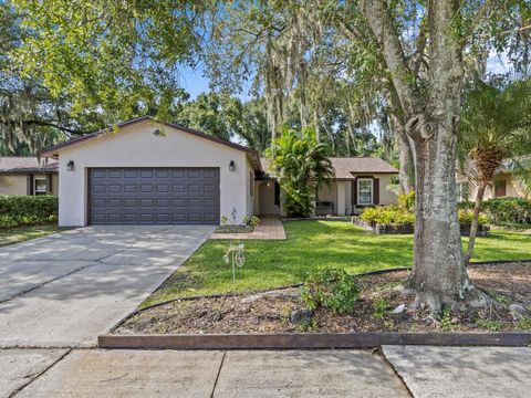 A home in BRANDON