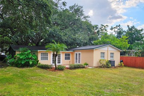 3073 DUANE AVENUE OLDSMAR FL 34677