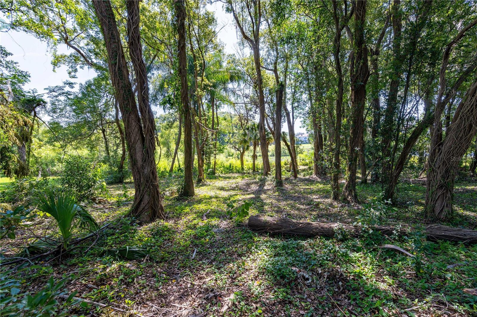 LAKE JOVITA GOLF & COUNTRY CLUB PH 01 - Land