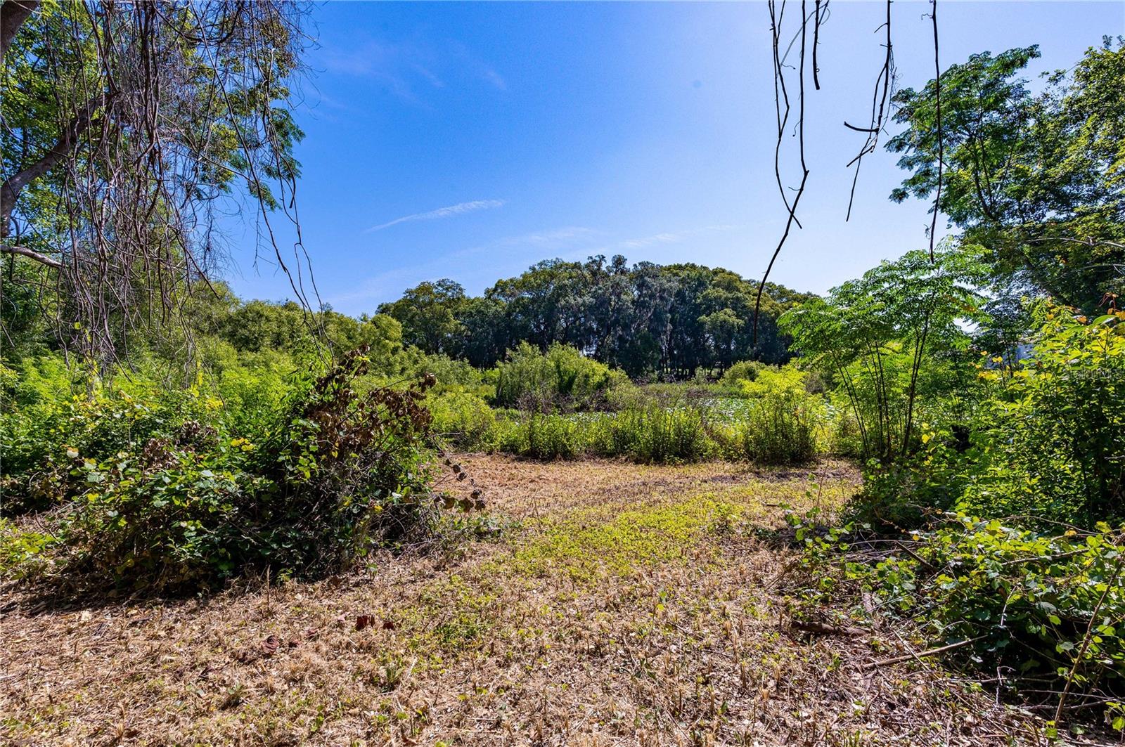 LAKE JOVITA GOLF & COUNTRY CLUB PH 01 - Land