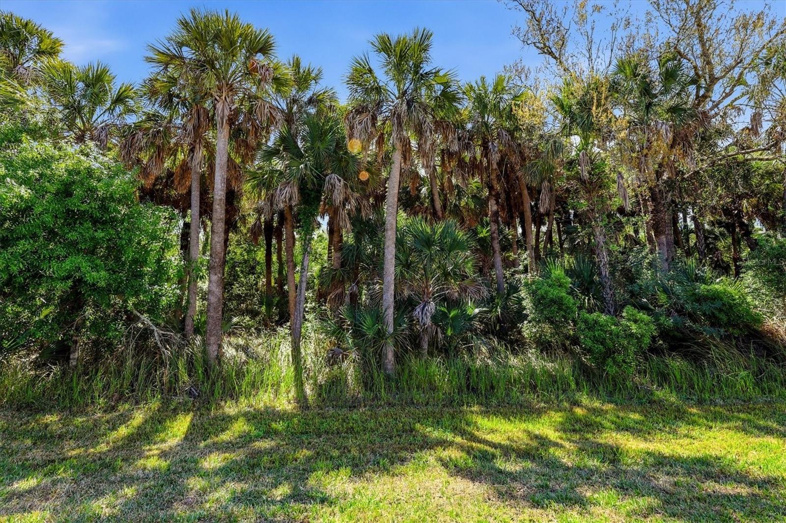 PRESERVE/WEST VLGS PH 2 - Residential