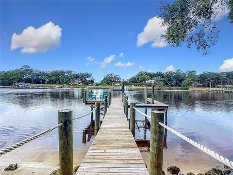 A home in PALM COAST