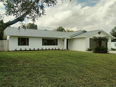 A home in DELTONA