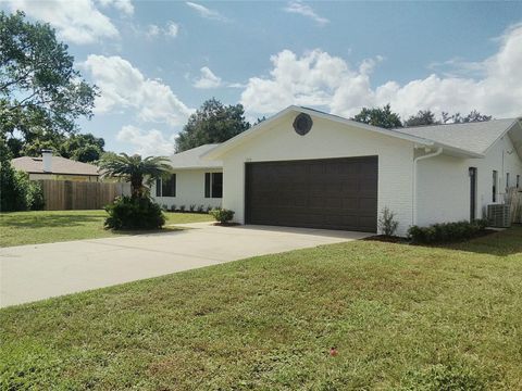 A home in DELTONA