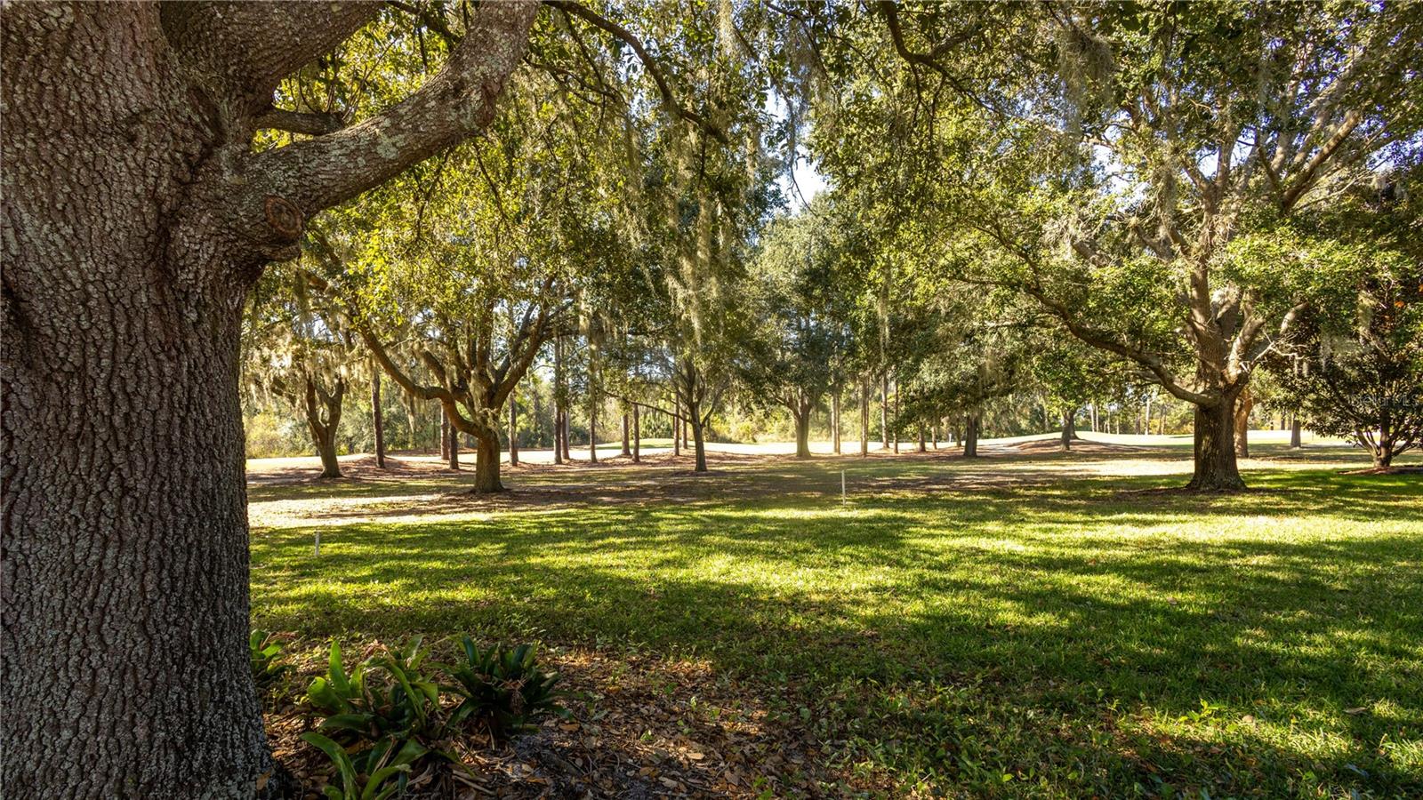 LAS COLINAS PH I SUB - Residential