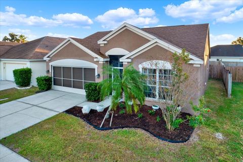 A home in RIVERVIEW