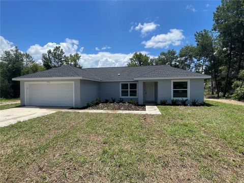 A home in OCKLAWAHA